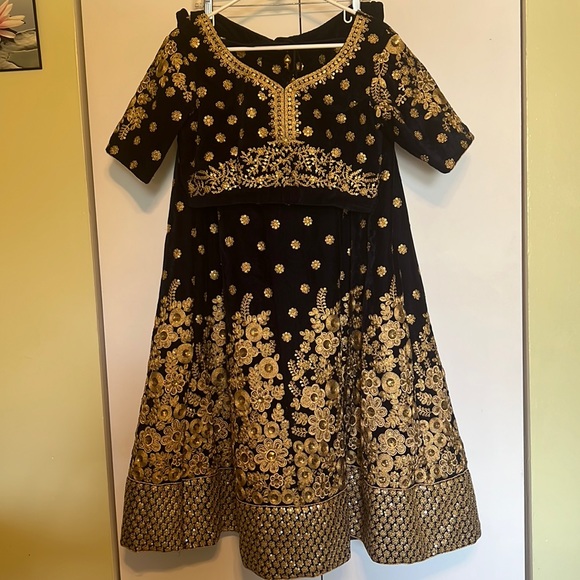 Other - Blue velvet heavy gold embroidery Lehenga Choli